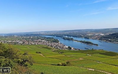 Netzwerk Rheingau: Ein Gewinn für Unternehmen und Fachleute